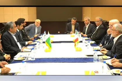 ایران، پاکستان و عراق نشست مشترک مدیریت سفر&zwnj;های اربعین برگزار می&zwnj;کنند