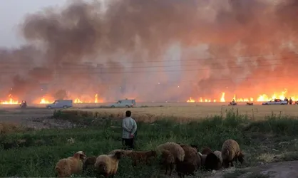 حریق در جنگل&zwnj;ها و مراتع گلستان ۲ برابر شد
