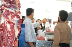 عرضه گسترده گوشت قرمز گرم با قیمت مصوب در پایتخت