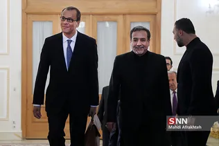 «کورنل فروتا» مدیرکل موقت آژانس بین‌المللی انرژی اتمی و عراقچی