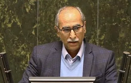 امینی: مجلس زیر بار افزایش ۱۰ و ۲۰ درصدی مستمری مددجویان نرفت