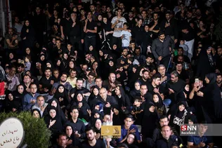 مجید بنی فاطمه