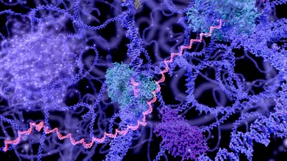 جذب سرمایه برای توسعه روش درمان سرطان با ترکیب mRNA و نانوذرات