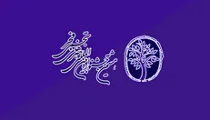 دومین جایزه ویدئو آرت جشنواره تجسمی فجر آغاز به کار کرد