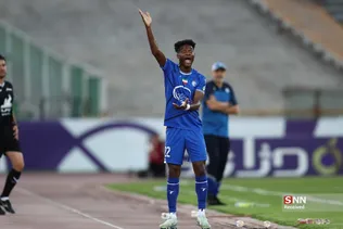دبب