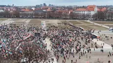 شغال‌های کوچه خلوت! + فیلم
