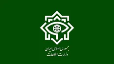 بازداشت ۸۵ عامل تخریبگر اموال مردم چهارمحال و بختیاری