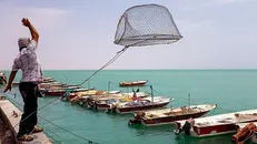 ممنوعیت صید آبزیان در آب‌های هرمزگان