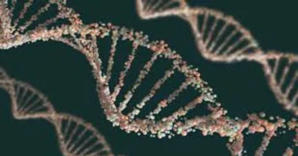 ۸۰۰ میلیون دلار برای توسعه داروی مبتنی بر RNAi سرمایه&zwnj;گذاری شد