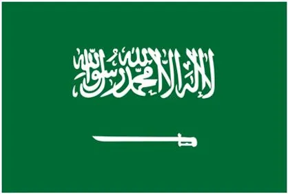 جریان تغییرات درعربستان به سونامی شبیه است
