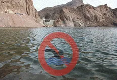 هشدار جدی مدیرعامل شرکت آب منطقه‌ای سمنان در خصوص خطرات شنا در سد‌ها و تاسیسات آبی