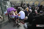 دبب