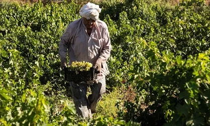 یک&zwnj;میلیون روستایی و کشاورز در دولت سیزدهم بیمه شدند