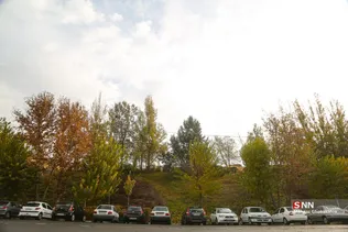 ertert