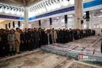 شهدا