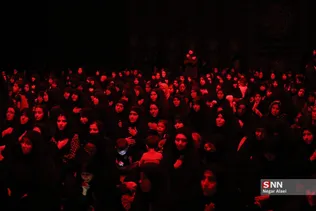 دبب
