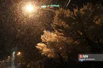 بارش برف در تهران