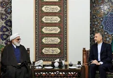 موافقت امیرعبداللهیان با تشکیل کارگروه امام رضا(ع) در وزارت خارجه