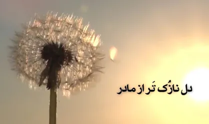 دل نازک&zwnj;تر از مادر...
