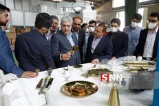 بازدید سورنا ستاری از چند شرکت فعال در زمینه طراحی و تولید تجهیزات روشنایی خودرو