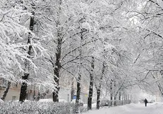 پایتخت برای بارش برف و باران آماده است؟