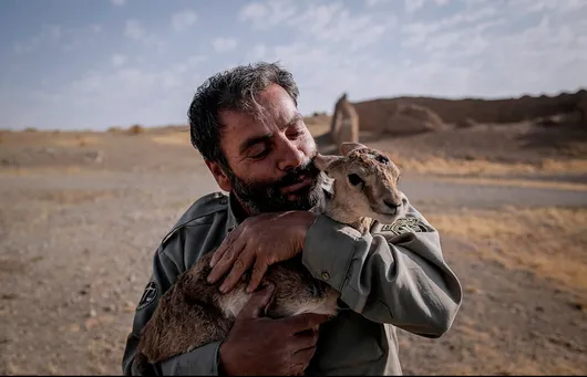 طبیعت بی‌نگهبان/ خط مقدم حفاظت از طبیعت با کمبود نیرو مواجه است