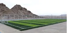 بهانه های عجیب مربیان برای نتیجه نگرفتن؛ از زمین کج تا چمن خوری گوسفندان!