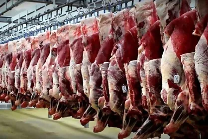 تعادل بازار گوشت قرمز، رویای محال؟