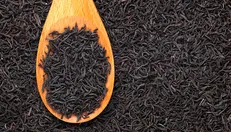 چای وارداتی در گمرک رسوب کرد