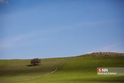 طبیعت بهاری اطراف لرستان