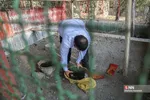 رهاسازی ۹ قطعه پرنده شکاری و آبزی در تالاب بهشت معصومه
