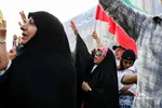 دبب
