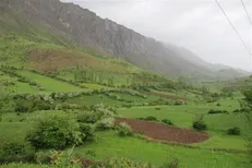 بهره‌برداری از مراتع مازندران در فصل گل‌دهی و بذردهی گیاهان ممنوع شد