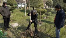 کاشت ۳۰۰ نهال در بوستان شهید آوینی توسط موسسه بهمن سبز / کاشت ۳۰۰ نهال در بوستان شهید آوینی توسط موسسه بهمن سبز