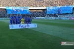 دبب