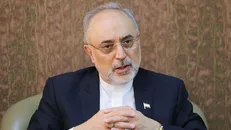 صالحی:دیدگاه سیاسی متفاوت دلیل اصلی دشمنی ما با امریکاست