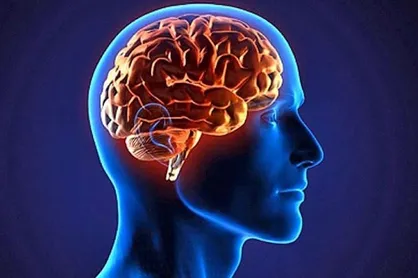 محققان موفق به جوانسازی و شادابی مغز شدند