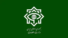 ۸۵ عامل اصلی و تخریبگر اموال مردم در چهارمحال و بختیاری دستگیر شدند