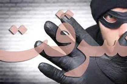 آخرین جزئیات سرقت مسلحانه شب گذشته تهران+ فیلم