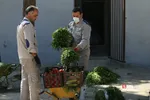 باغ وحش ارم سبز 