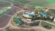 در سال‌های کنونی مدیران کشت و صنعت لرستان با وضع قوانین کاری و انعقاد قرارداد‌های غیرعادلانه، عملکرد مناسبی نداشته‌اند