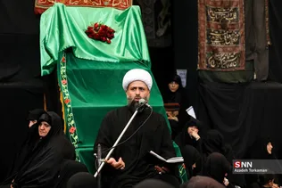 دبب