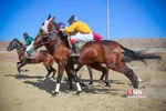 مسابقات سوارکاری 