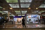 سیل