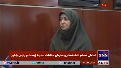 انصاری: جلساتی با حضور مطالبه&zwnj;گران کرکس&zwnj;کوه برگزار شده است/ اگر ضوابط محیط زیستی رعایت نشود طبق قانون برخورد می&zwnj;کنیم