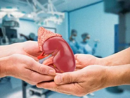 اهدا کنندگان کلیه ۱۱۰ میلیون تومان پاداش می&zwnj;گیرند&nbsp;