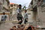 دانشجو