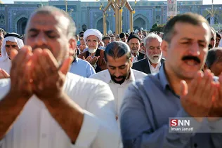 مشد