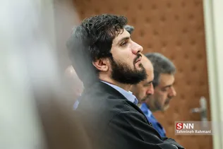 هادی رضوی