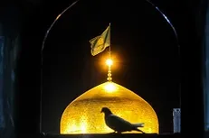 ضامن آهو کودک ۷ ساله سرطانی را طلبید